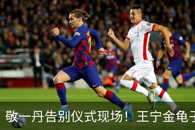 敬一丹告别仪式现场！王宁金龟子现身送别，多位主持人忍不住哭泣